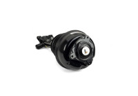 Pneumatic strut