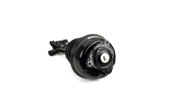Pneumatic strut