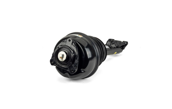 Pneumatic strut, Image 2