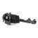 Pneumatic strut, Thumbnail 4