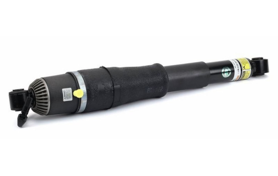 Pneumatic strut