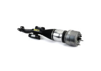 Pneumatic strut