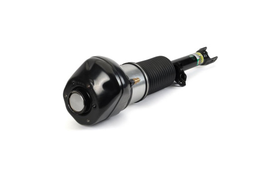 Pneumatic strut