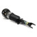 Pneumatic strut, Thumbnail 2