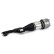 Pneumatic strut, Thumbnail 2