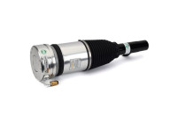 Pneumatic strut