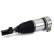 Pneumatic strut, Thumbnail 2