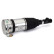 Pneumatic strut