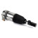 Pneumatic strut, Thumbnail 2
