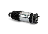 Pneumatic strut