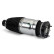 Pneumatic strut