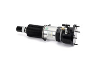 Pneumatic strut