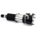 Pneumatic strut