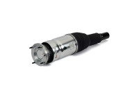 Pneumatic strut