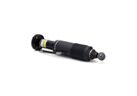 Pneumatic strut