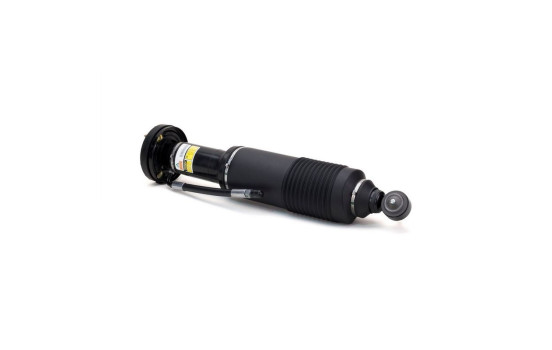 Pneumatic strut