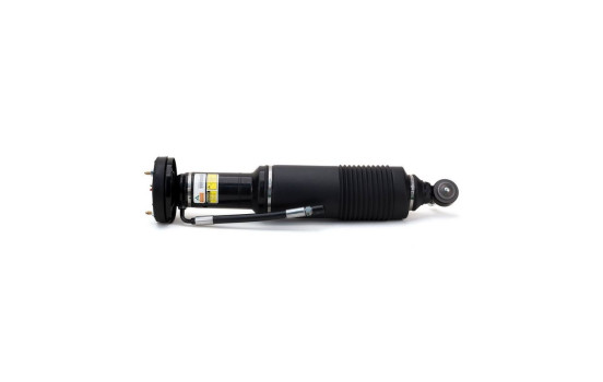 Pneumatic strut, Image 4