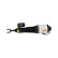 Pneumatic strut, Thumbnail 4