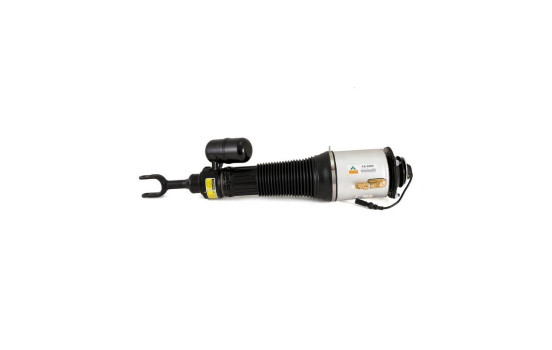 Pneumatic strut, Image 4