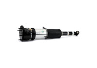 Pneumatic strut