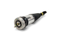 Pneumatic strut
