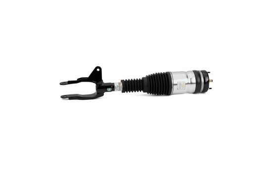 Pneumatic strut