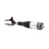 Pneumatic strut, Thumbnail 2