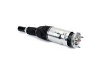 Pneumatic strut
