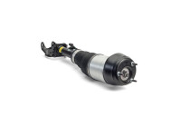 Pneumatic strut