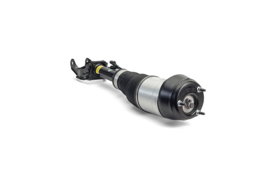 Pneumatic strut