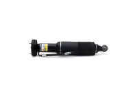 Pneumatic strut
