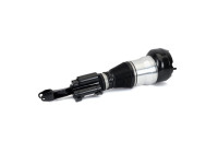 Pneumatic strut