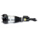 Pneumatic strut, Thumbnail 2