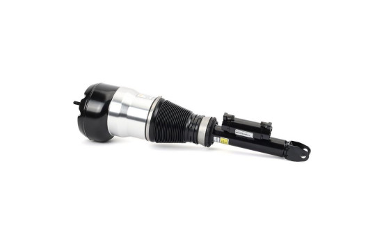 Pneumatic strut, Image 2
