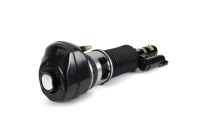 Pneumatic strut