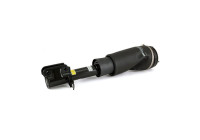 Pneumatic strut