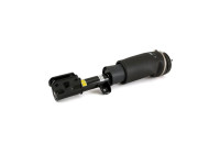 Pneumatic strut