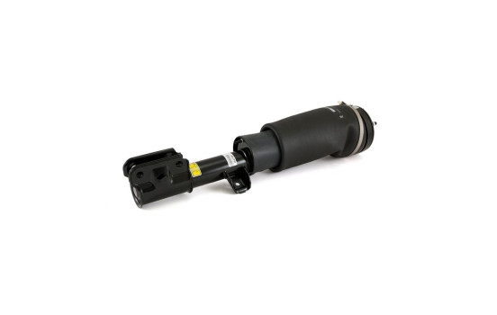 Pneumatic strut