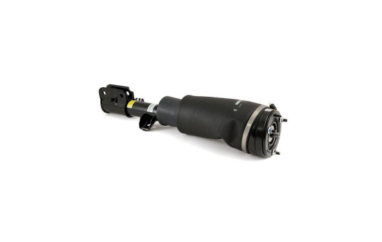 Pneumatic strut, Image 2