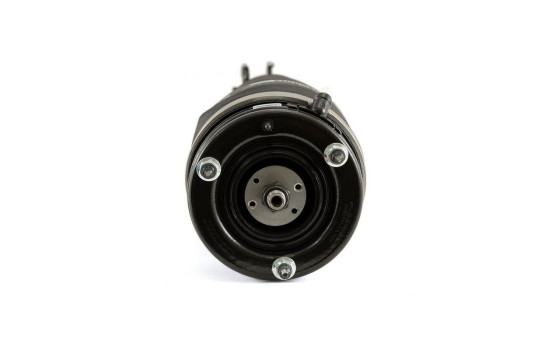 Pneumatic strut, Image 4