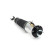Pneumatic strut