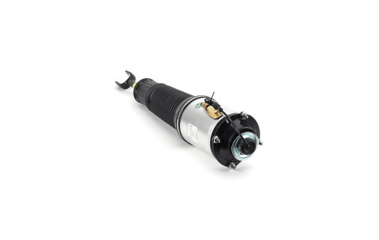 Pneumatic strut