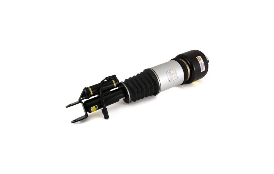 Pneumatic strut