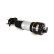Pneumatic strut, Thumbnail 2