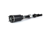 Pneumatic strut
