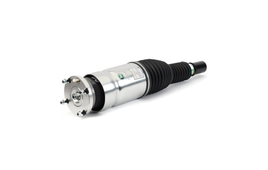 Pneumatic strut