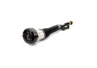 Pneumatic strut
