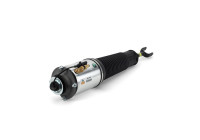 Pneumatic strut