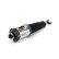 Pneumatic strut