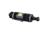 Pneumatic strut